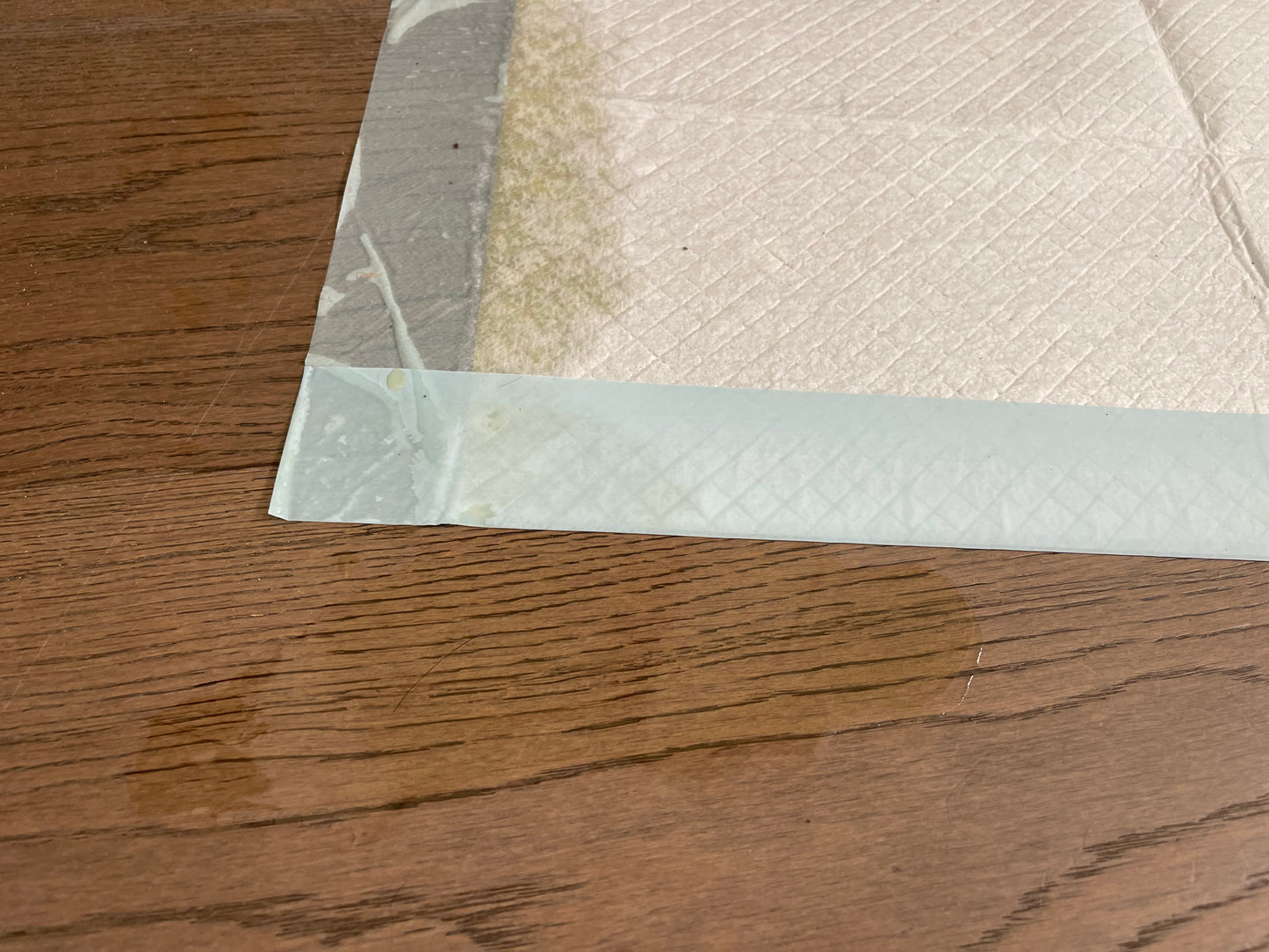 Pee Pad Anchor