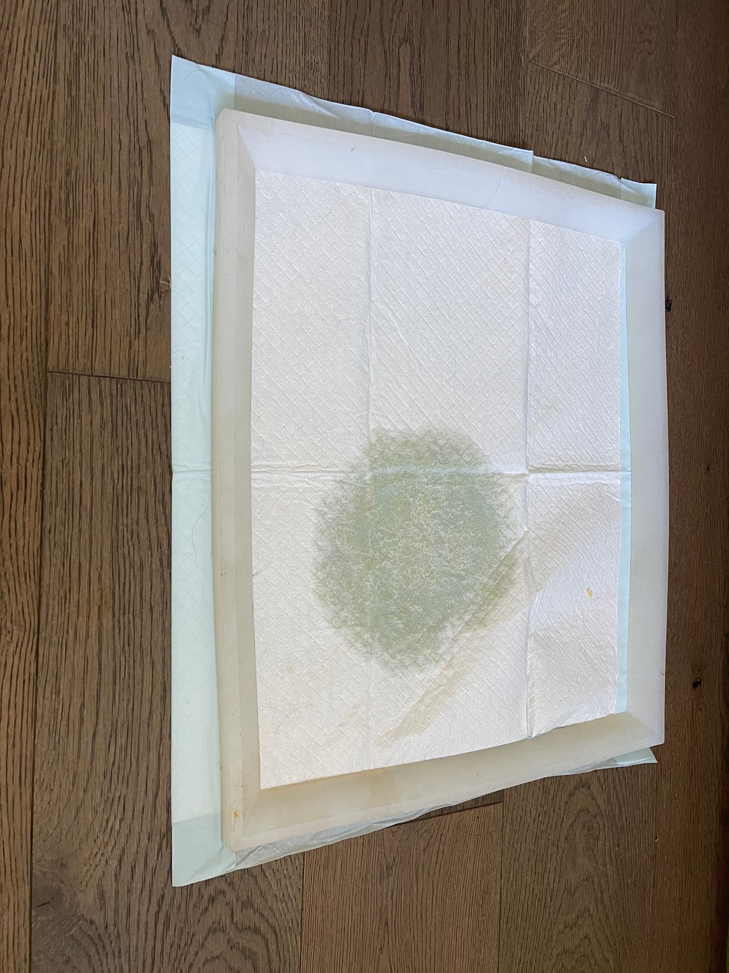 Pee Pad Anchor