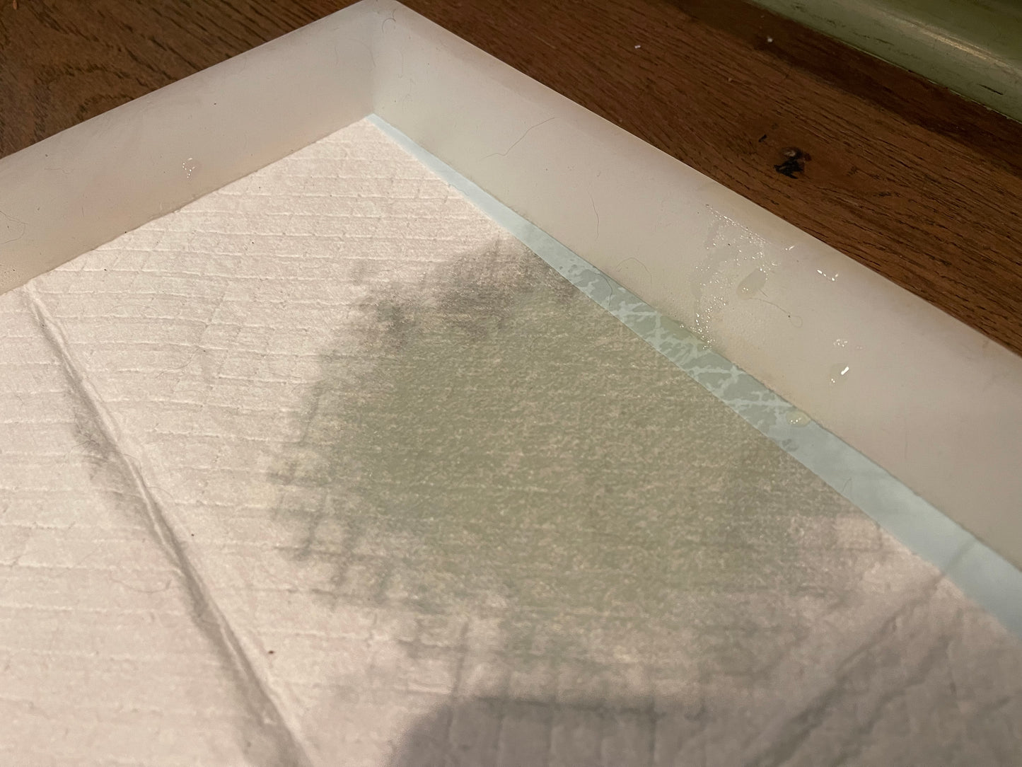 Pee Pad Anchor