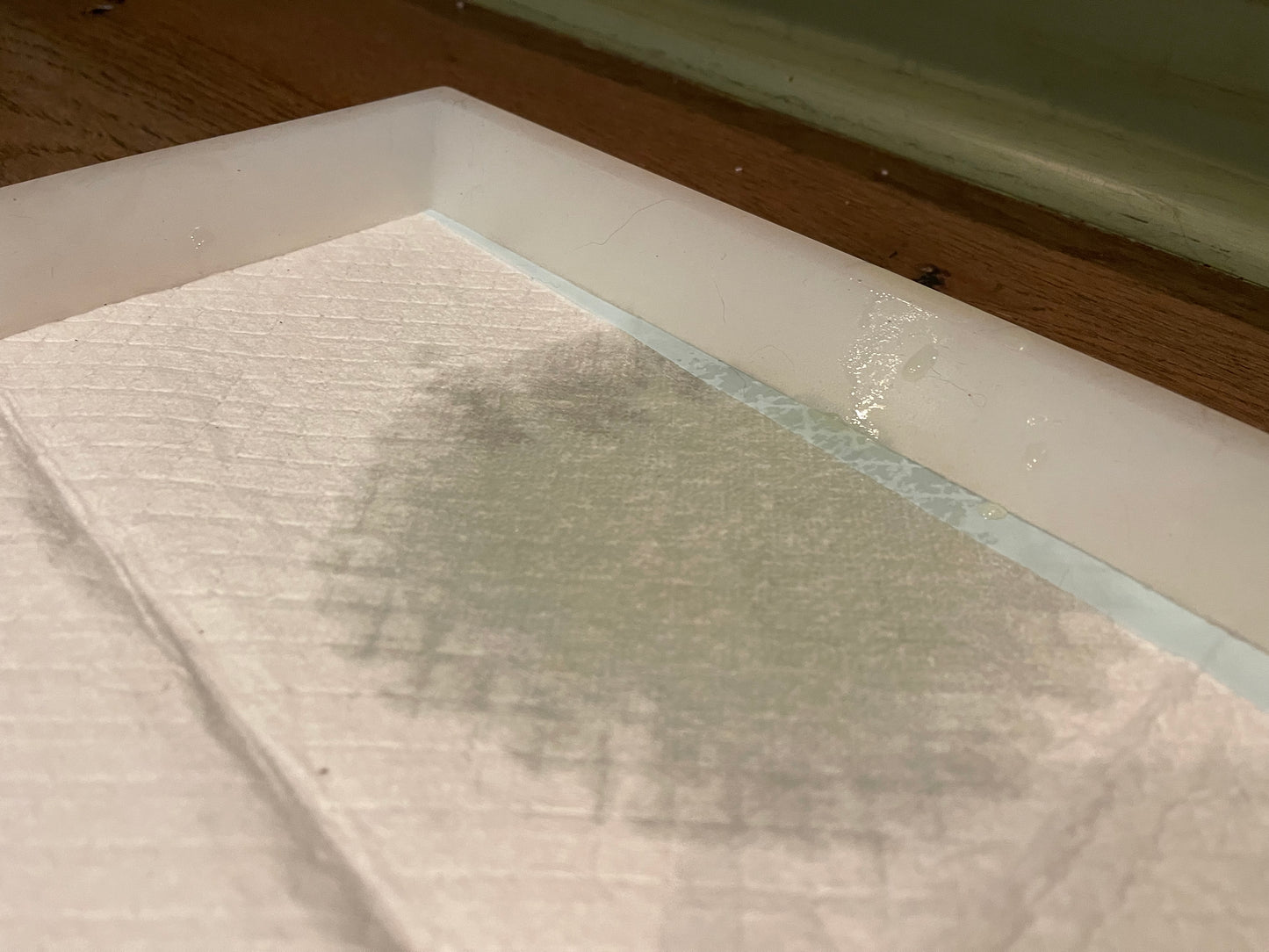 Pee Pad Anchor